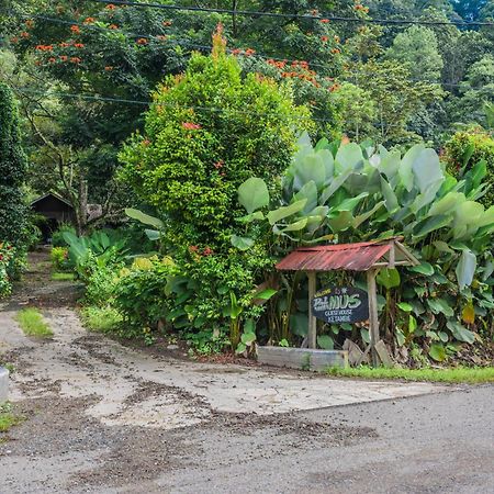 Pak Mus Guest House Ketambe - 0813-7072-1793 Kutacane エクステリア 写真