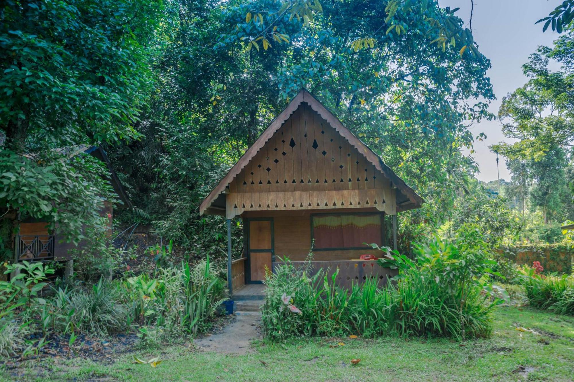 Pak Mus Guest House Ketambe - 0813-7072-1793 Kutacane エクステリア 写真