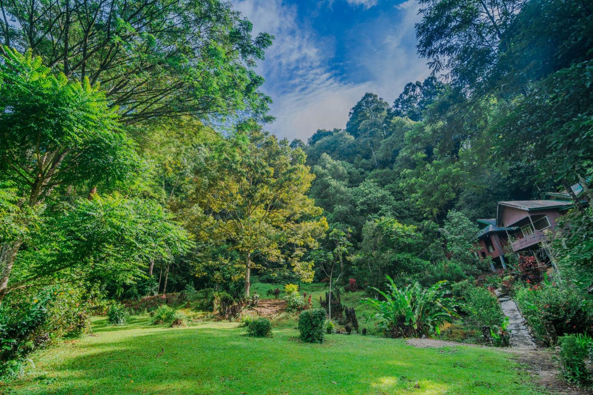 Pak Mus Guest House Ketambe - 0813-7072-1793 Kutacane エクステリア 写真