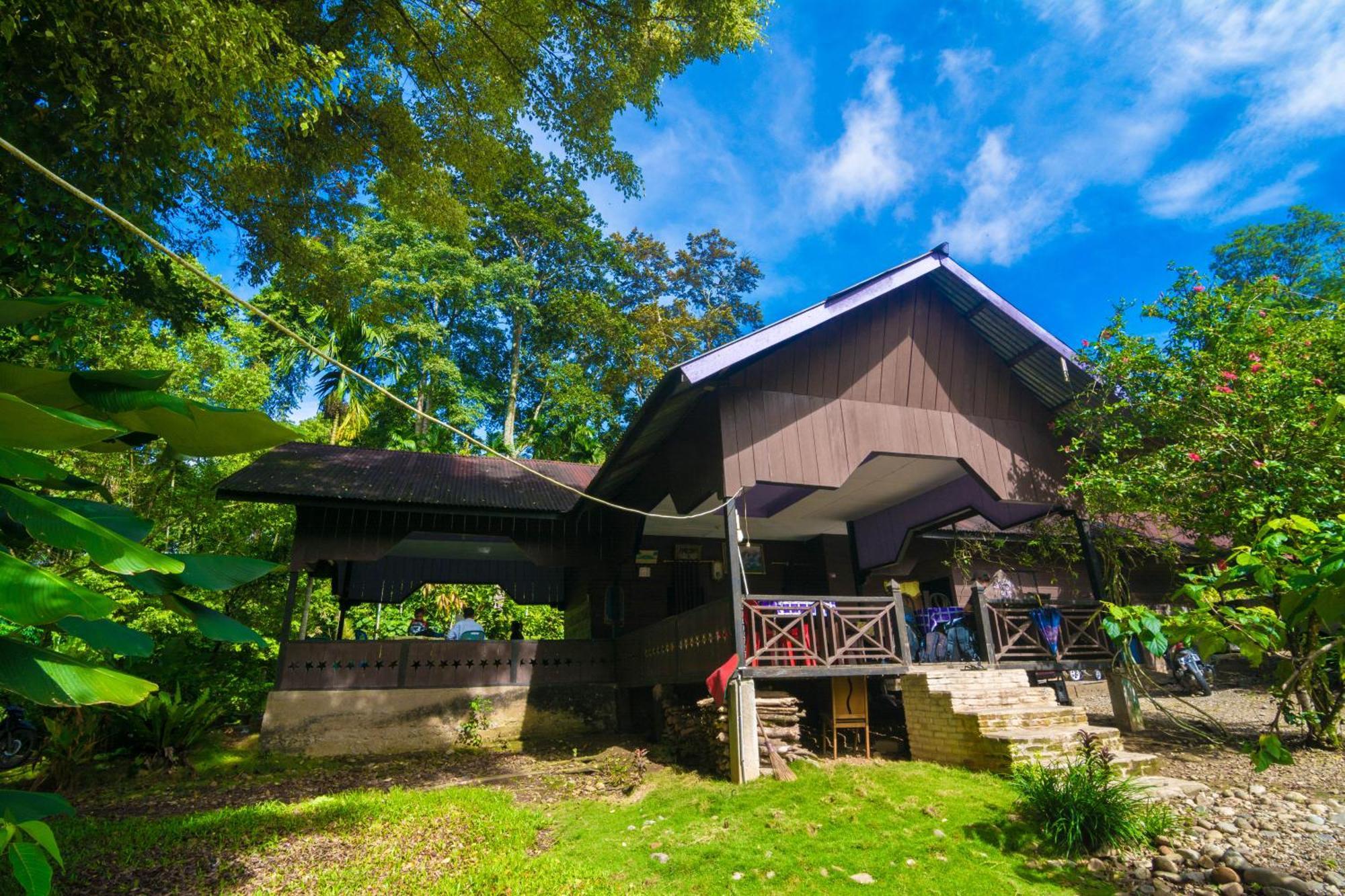 Pak Mus Guest House Ketambe - 0813-7072-1793 Kutacane エクステリア 写真