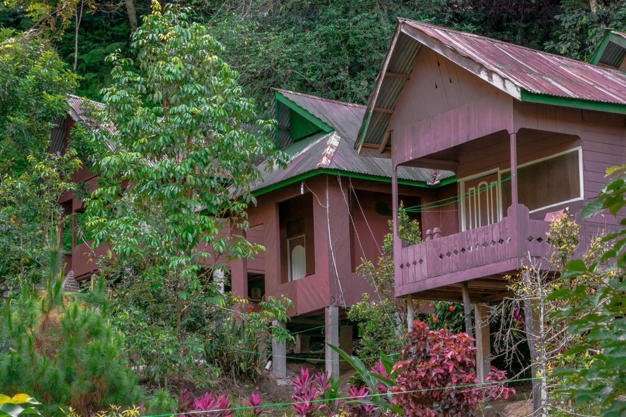 Pak Mus Guest House Ketambe - 0813-7072-1793 Kutacane エクステリア 写真